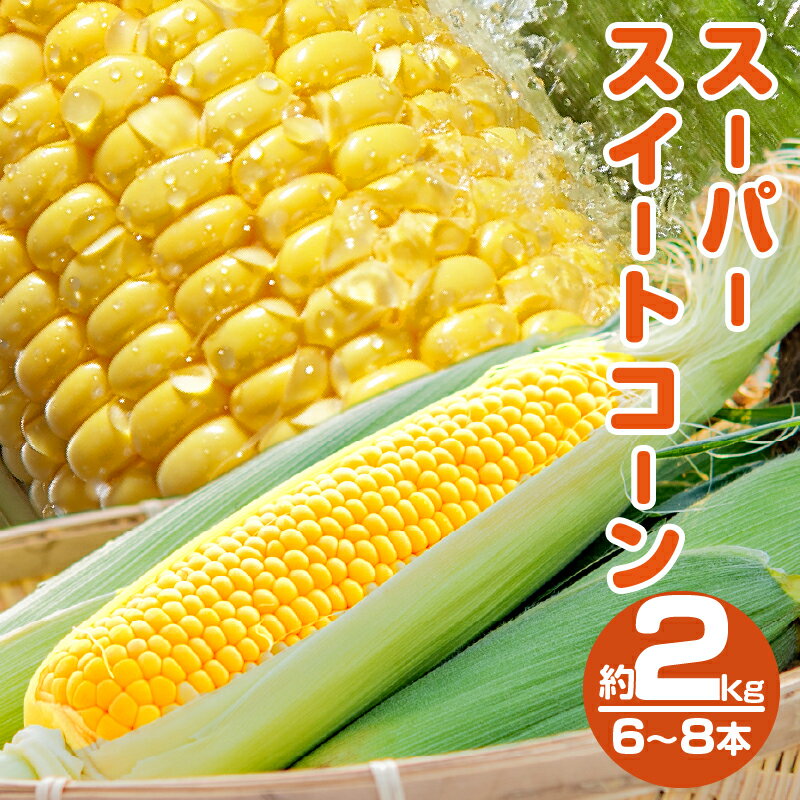 14位! 口コミ数「0件」評価「0」 先行予約 期間限定 スーパースイートコーン 約2kg お試し用 とうもろこし 野菜 サラダ スープ おやつ レンチン 茹で 焼き 産地直送･･･ 