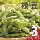  先行予約 期間限定 枝豆 茶豆風味 茶豆 3kg 野菜 おやつ おつまみ 豆類 茹で 焼き お気軽 産地直送 季節限定 期間限定 おすそ分け お取り寄せ グルメ おすすめ 食品 国産 宮崎県 都農町 送料無料