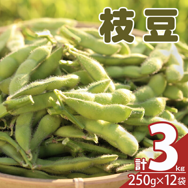 【ふるさと納税】先行予約 期間限定 枝豆 茶豆風味 茶豆 3kg 野菜 おやつ おつまみ 豆類 茹で ...