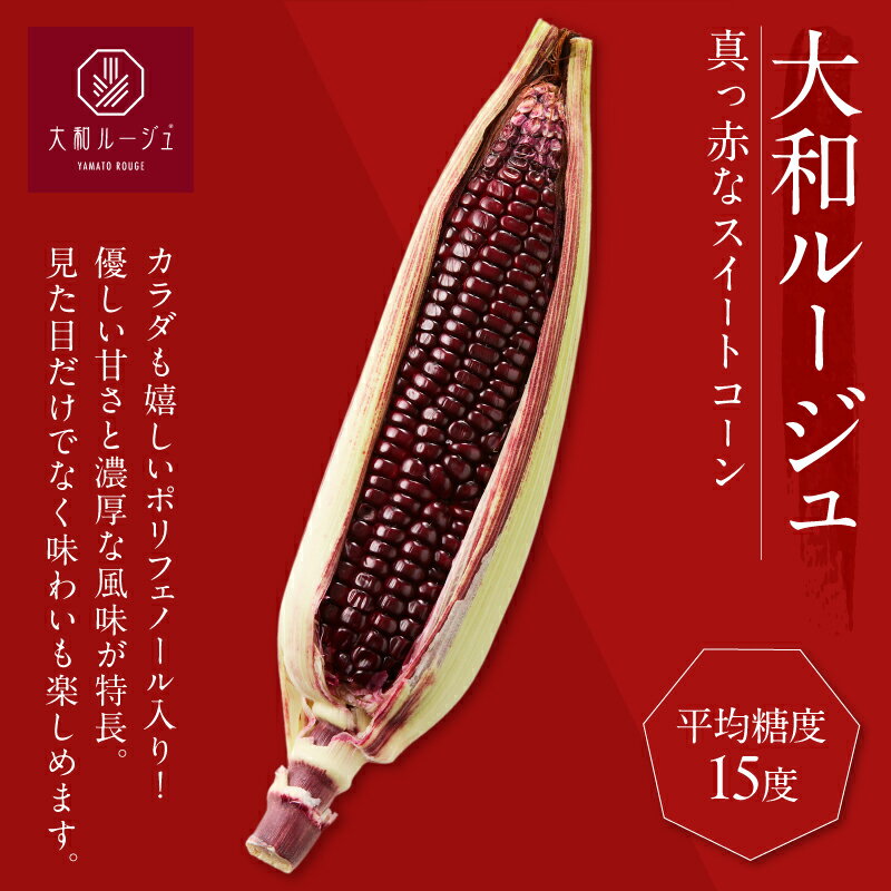 【ふるさと納税】先行予約 期間限定 2種 スイートコーン 枝豆 セット 合計5kg とうもろこし 野菜 成果物 茶豆風味 おやつ おつまみ レンチン 茹で 焼き ポリフェノール 産地直送 季節限定 期間限定 おすそ分け お取り寄せ グルメ おすすめ 食品 国産 宮崎県 都農町 送料無料