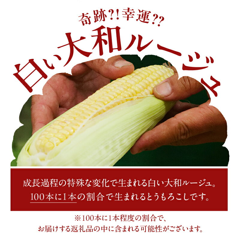 【ふるさと納税】先行予約 期間限定 2種 スイートコーン 枝豆 セット 合計5kg とうもろこし 野菜 成果物 茶豆風味 おやつ おつまみ レンチン 茹で 焼き ポリフェノール 産地直送 季節限定 期間限定 おすそ分け お取り寄せ グルメ おすすめ 食品 国産 宮崎県 都農町 送料無料