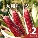 【ふるさと納税】 先行予約 期間限定 赤い スイートコーン 大和ルージュ 約2kg とうもろこし 野菜 おやつ ポリフェノール アントシアニン レンチン 茹で 焼き 産地直送 季節限定 期間限定 おすそ分け お取り寄せ グルメ おすすめ 食品 国産 宮崎県 都農町 送料無料