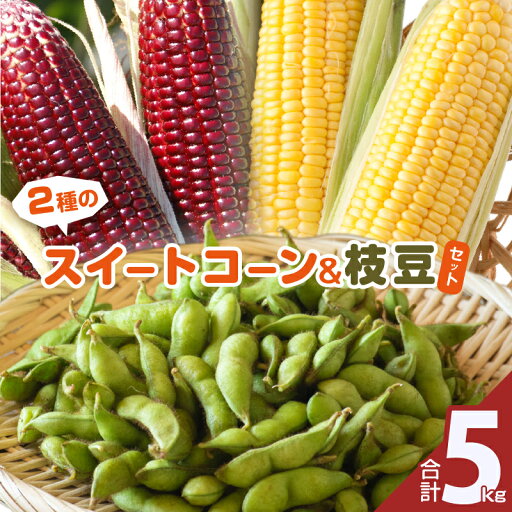 【ふるさと納税】先行予約 期間限定 2種 スイートコーン 枝豆 セット 合計5kg とうもろこし 野菜 成果物 茶豆風味 おやつ おつまみ レンチン 茹で 焼き ポリフェノール 産地直送 季節限定 期間限定 おすそ分け お取り寄せ グルメ おすすめ 食品 国産 宮崎県 都農町 送料無料 【ふるさと納税】先行予約 期間限定 2種 スイートコーン 枝豆 セット 合計5kg とうもろこし 野菜 成果物 茶豆風味 おやつ おつまみ レンチン 茹で 焼き ポリフェノール 産地直送 季節限定 期間限定 おすそ分け お取り寄せ グルメ おすすめ 食品 国産 宮崎県 都農町 送料無料