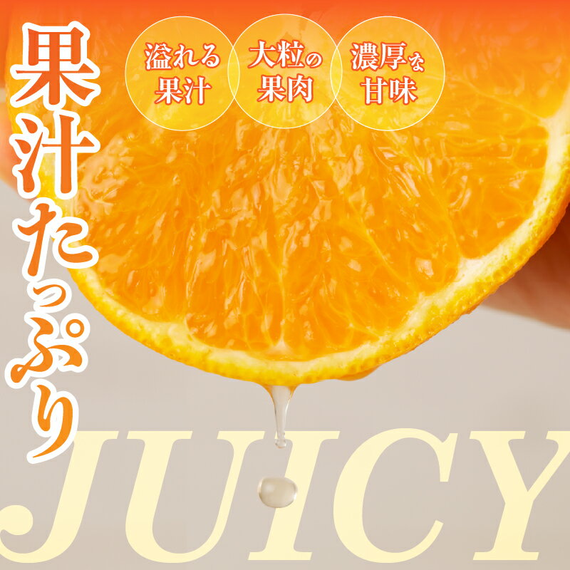 【ふるさと納税】先行予約 期間限定 都農町産 不知火 しらぬい 計6kg 柑橘 フルーツ 果物 くだもの みかん ポンカン オレンジ 果実 果肉 食品 グルメ デザート 人気 おすすめ おすそ分け 手土産 おやつ 詰め合わせ お取り寄せ 宮崎県 都農町 送料無料