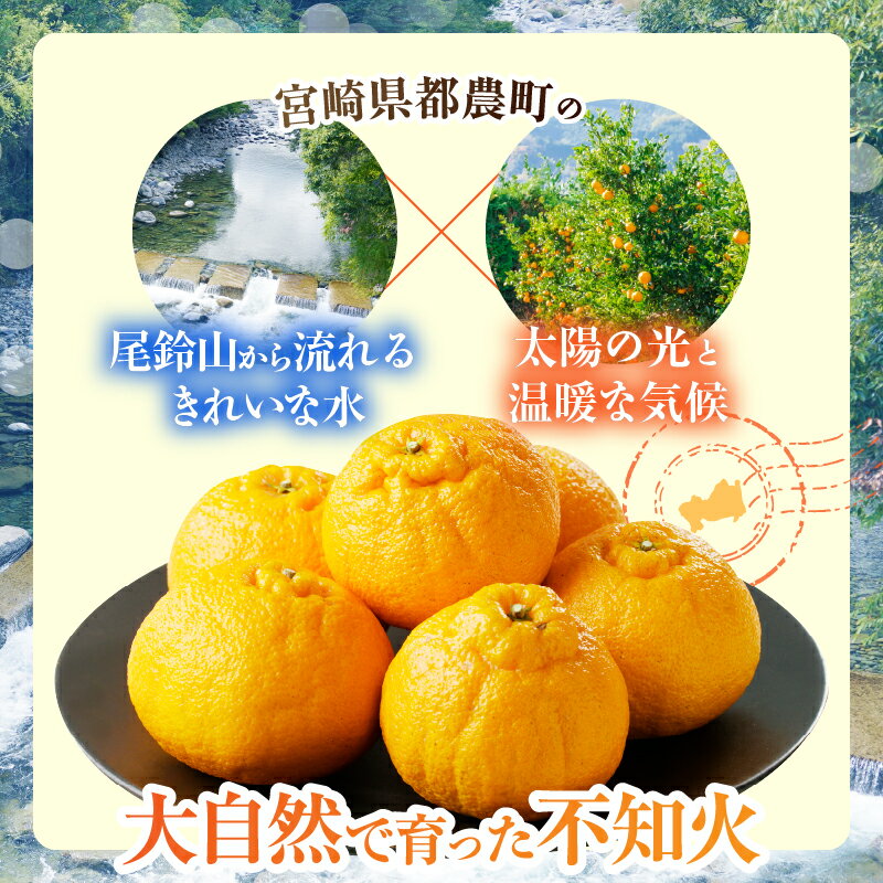 【ふるさと納税】先行予約 期間限定 都農町産 不知火 しらぬい 計6kg 柑橘 フルーツ 果物 くだもの みかん ポンカン オレンジ 果実 果肉 食品 グルメ デザート 人気 おすすめ おすそ分け 手土産 おやつ 詰め合わせ お取り寄せ 宮崎県 都農町 送料無料