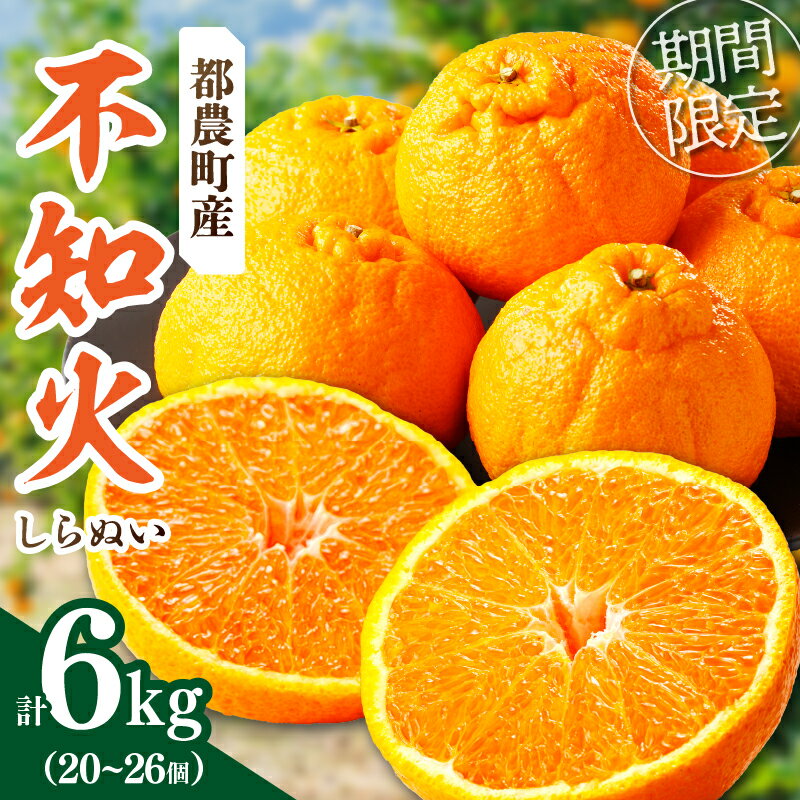 先行予約 期間限定 都農町産 不知火 しらぬい 計6kg 柑橘 フルーツ 果物 くだもの みかん ポンカン オレンジ 果実 果肉 食品 グルメ デザート 人気 おすすめ おすそ分け 手土産 おやつ 詰め合わせ お取り寄せ 宮崎県 都農町 送料無料