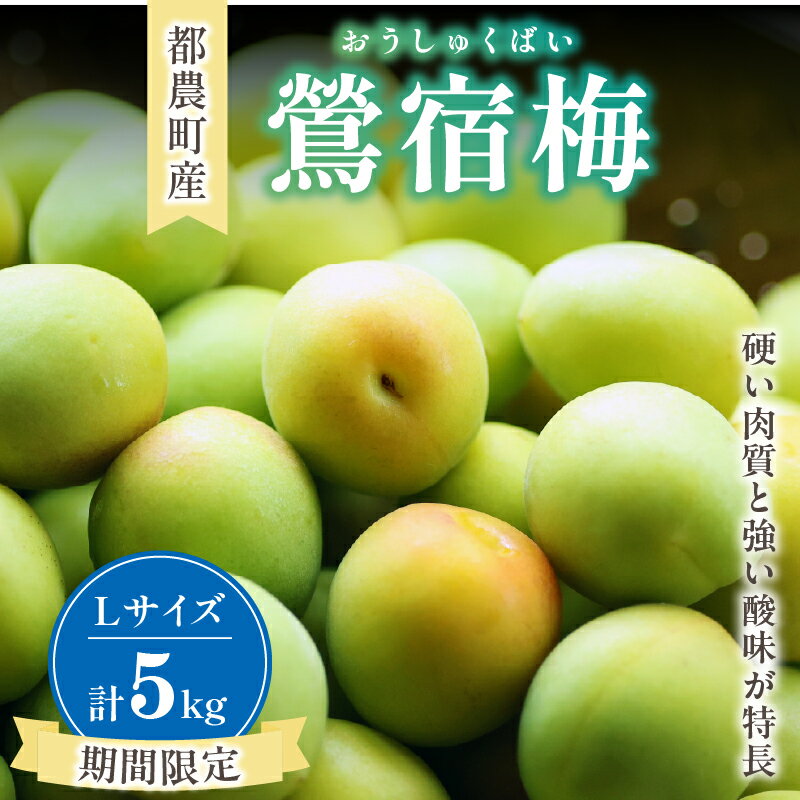 楽天市場】青梅 5kgの通販 楽天市場】青梅 5kgの通販