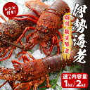 51位! 口コミ数「2件」評価「4」先行予約 【内容量が選べる】数量限定 伊勢海老 地どれ 日向灘 期間限定 活 旬 冷蔵 チルド 伊勢えび イセエビ 解禁 魚介類 海鮮 新鮮 海産物 海の幸 高級 贅沢 絶品 ご褒美 お刺身 みそ汁 ・・・