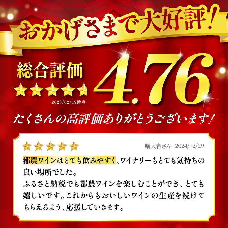 【ふるさと納税】【定期便も選べる】高評価☆4.76 都農ワイン セレクト セット 3本 酒 飲料 アルコール 国産 飲み比べ 赤ワイン ロゼ 甘口 辛口 ドライ ギフト 贈り物 贈答 スパークリングワイン ぶどう ブドウ お祝い 記念日 パーティー 晩酌 宮崎県 都農町 送料無料