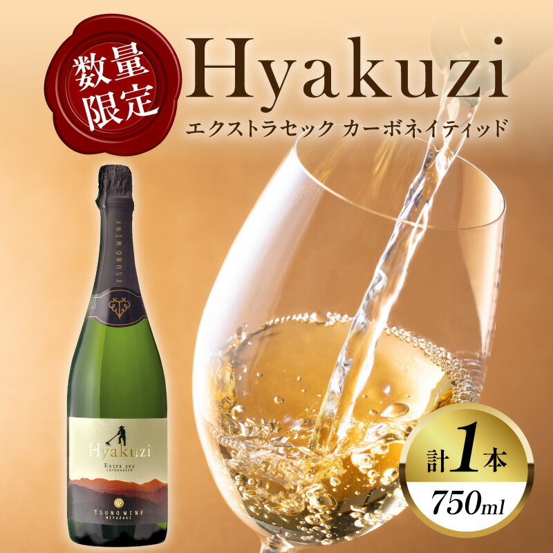 [レビューキャンペーン] 数量限定 Hyakuzi エクストラセック カーボネイティッド 1本 酒 飲料 アルコール 国産 都農ワイン スパークリングワイン やや辛口 シャンパン 家飲み 晩酌 パーティー ご褒美 記念日 お取り寄せ グルメ 宮崎県 都農町 送料無料