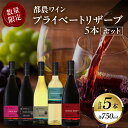 【ふるさと納税】【期間・数量限定】プライベートリザーブ 5本 セット 酒 飲料 アルコール 国産 飲み比べ 赤ワイン 白ワイン WINE ぶどう ご褒美 お祝 記念日 晩酌 お取り寄せ 人気 おすすめ BBQ バーベキュー 贈答品 プレゼント 都農ワイン 宮崎県 都農町 送料無料
