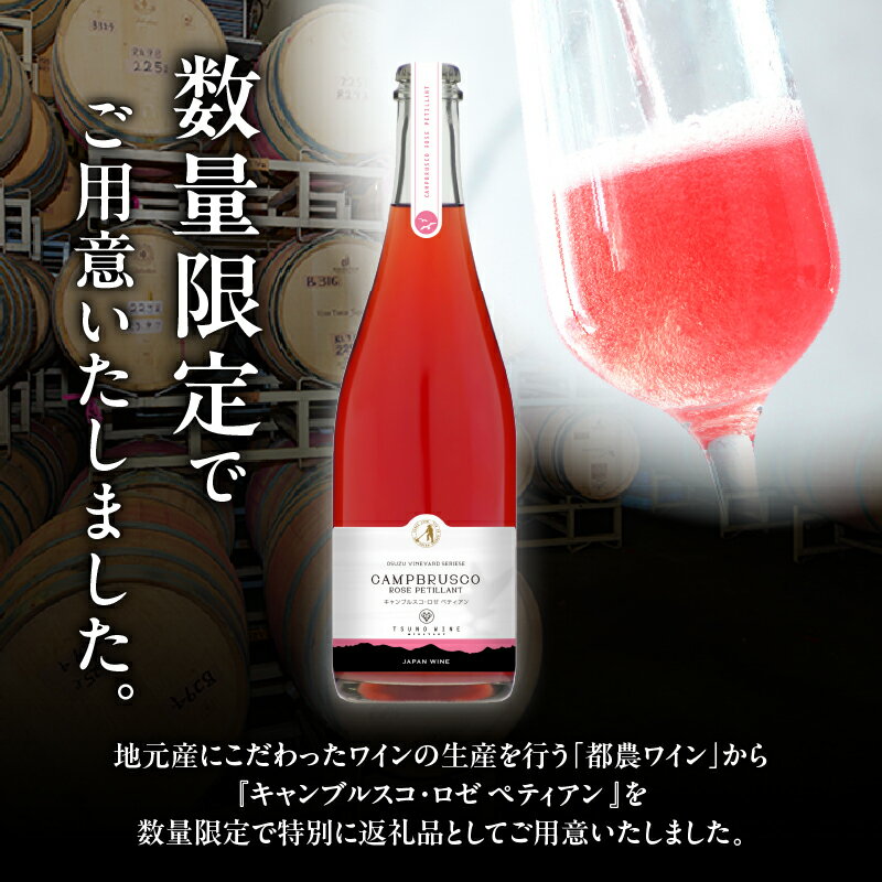 【ふるさと納税】【数量限定】キャンブルスコ・ロゼ ペティアン 計1本 ワイン スパークリングワイン 酒 アルコール 国産 飲料 果実酒 ぶどう 都農ワイン おすすめ 家飲み 晩酌 パーティー ご褒美 記念日 お祝い ギフト 贈答 贈り物 プレゼント 宮崎県 都農町 送料無料