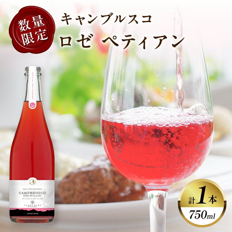 [数量限定]キャンブルスコ・ロゼ ペティアン 計1本 ワイン スパークリングワイン 酒 アルコール 国産 飲料 果実酒 ぶどう 都農ワイン おすすめ 家飲み 晩酌 パーティー ご褒美 記念日 お祝い ギフト 贈答 贈り物 プレゼント 宮崎県 都農町 送料無料