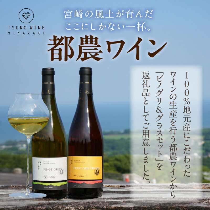 【ふるさと納税】≪数量限定≫ 都農ワイン ピノグリ 2本 ＆ グラス セット 酒 飲料 アルコール 国産 ロナ ぶどう 果実酒 2種 白 オレンジ 飲み比べ おすすめ 肉魚料理 贅沢 ご褒美 晩酌 記念日 お祝い プレゼント ギフト 贈答 贈り物 常温 宮崎県 都農町 送料無料