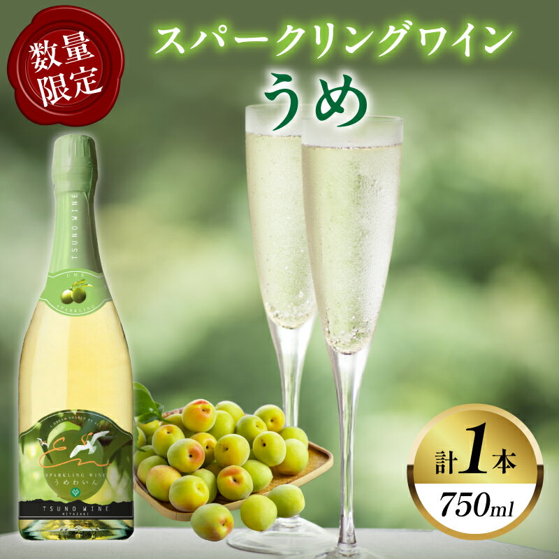 [数量限定]スパークリングワイン うめ 計1本 国産 飲料 酒 アルコール 果実酒 梅 都農ワイン フルーツワイン 甘口 おすすめ 贅沢 ご褒美 家飲み 晩酌 パーティー 記念日 お祝い ギフト 贈答 贈り物 プレゼント 常温 ポリフェノール 宮崎県 都農町 送料無料