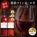 【ふるさと納税】都農ワイン 赤 ロゼ 辛口 甘口 2本セット 酒 飲料 アルコール 国産 飲み比べ 赤ワイン ぶどう WINE 食前酒 デザートワイン 食中酒 ご褒美 お祝 記念日 晩酌 お取り寄せ 人気 おすすめ BBQ バーベキュー グランピング 贈答品 宮崎県 都農町 送料無料