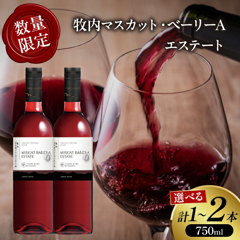 [選べる内容量] 数量限定 牧内マスカット・ベーリーAエステート 1本 or 2本 酒 飲料 アルコール 国産 ぶどう 赤ワイン 辛口 WINE 果実酒 ご褒美 パーティー お祝い 贅沢 記念日 イベント 晩酌 ギフト 贈り物 贈答 プレゼント 宮崎県 都農町 送料無料