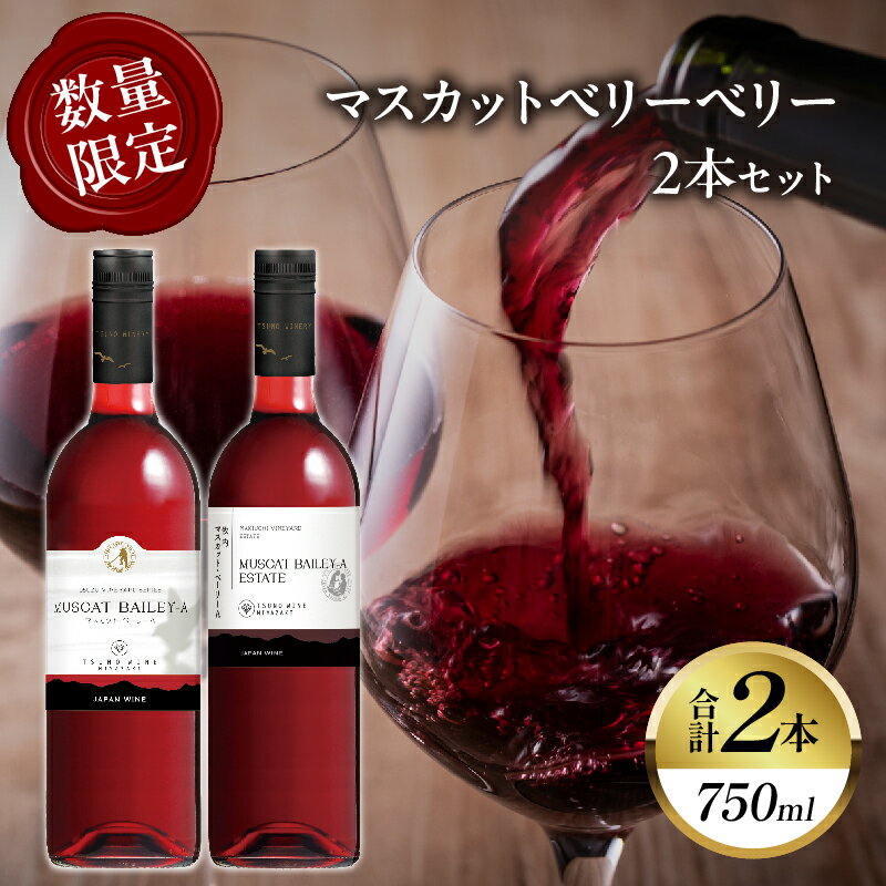 [数量限定]マスカットベリーベリー 2本 セット 酒 飲料 アルコール 国産 ぶどう 赤ワイン 辛口 WINE 果実酒 飲み比べ ご褒美 パーティー お祝い 贅沢 記念日 イベント 家呑み 晩酌 ギフト 贈り物 贈答 プレゼント 宮崎県 都農町 送料無料
