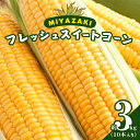 28位! 口コミ数「0件」評価「0」 みやざき フレッシュスイートコーン 約3kg 先行予約 とうもろこし ゴールドラッシュ 野菜 サラダ スープ おやつ レンチン 茹で 焼き･･･ 