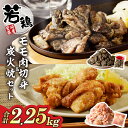 【ふるさと納税】宮崎県産 若鶏 モモ肉 切身 & 炭火焼 セット 合計2.25kg 鶏肉 加工品 国産 数量限定 個包装 おかず おつまみ 惣菜 お弁当 晩ご飯...