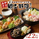 【ふるさと納税】みやざき郷土料理セット 合計2.2kg以上 肉 鶏肉 加工品 国産 個包装 もも むね おかず おつまみ 惣菜 お弁当 晩ご飯 鍋 スープ 地頭...