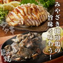 宮崎県都農町の画像2