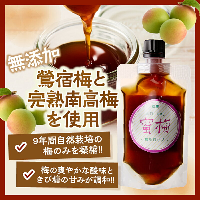 【ふるさと納税】【2週間以内発送】【選べる本数】 ＼ポスト投函／ 都農町産 蜜梅 シロップ 計1本 〜 5本 梅 加工品 国産 食品 南高梅 鶯宿梅 熟成 調味料 ドリンク おすすめ パウチパック 梅サイダー 梅ラッシー 梅酒風カクテル お試し ギフト 贈り物 宮崎県 送料無料 f454061-tsuno-10002583 宮崎県都農町 サンプル画像2