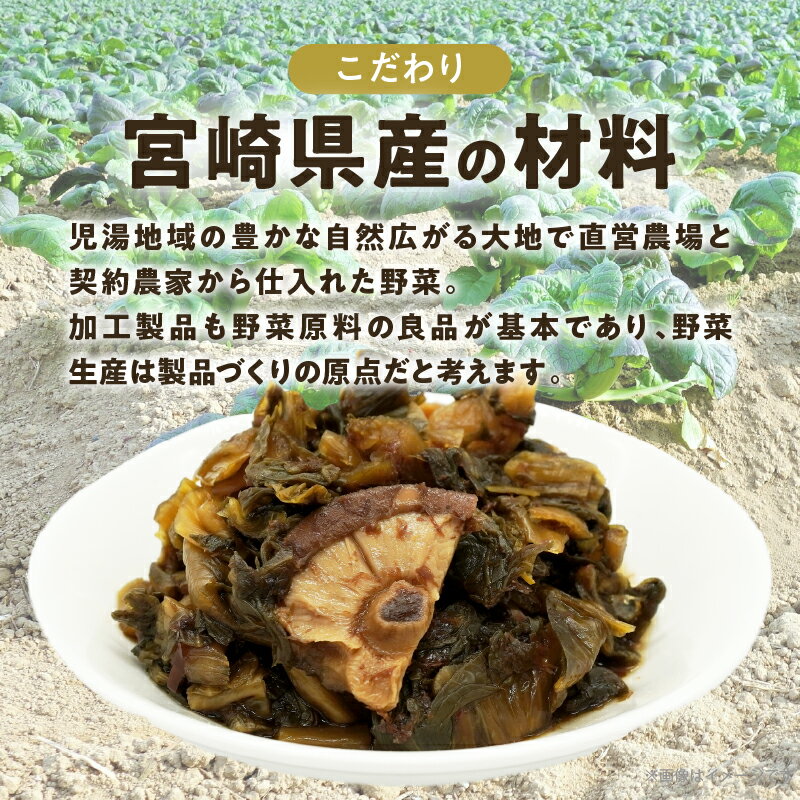 【ふるさと納税】＼ポスト投函／ こだわり 醤油高菜 PURE 計1袋 80g 国産 食品 加工品 野菜 漬け物 漬物 つけもの 厳選 国産調味原料 どんこ椎茸 しいたけ おかず 惣菜 ご飯のお供 おつまみ ラーメン パスタ おすすめ プレゼント おすそ分け 宮崎県 都農町 送料無料