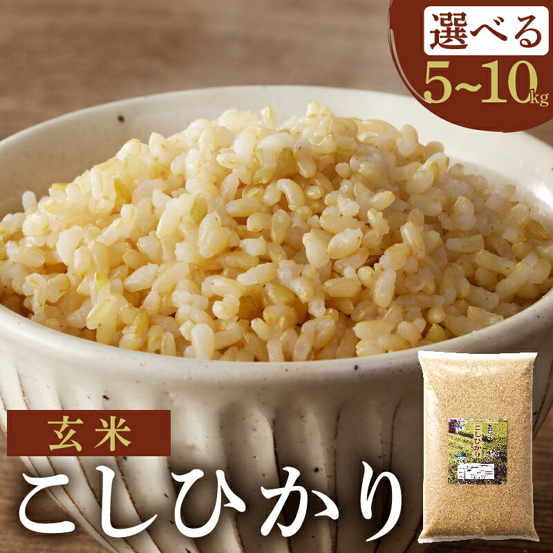≪都農町産≫ 新米 コシヒカリ 玄米 5kg 10kg お米 ご飯 国産 食品 ライス 主食 エネルギー ごはん おにぎり おむすび 晩ご飯 お弁当 おすすめ 低糖質 ヘルシー ビタミン ミネラル 人気 お試し グルメ 宮崎県 お取り寄せ 送料無料