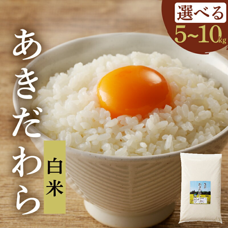 【ふるさと納税】【内容量が選べる】先行予約 新米 あきだわら 5kg or 10kg お米 ご飯 国産 都農町産 食品 ライス 白米 白飯 主食 エネルギー ごはん おにぎり お弁当 おすすめ 甘い 人気 精米 グルメ 宮崎県 お取り寄せ 送料無料