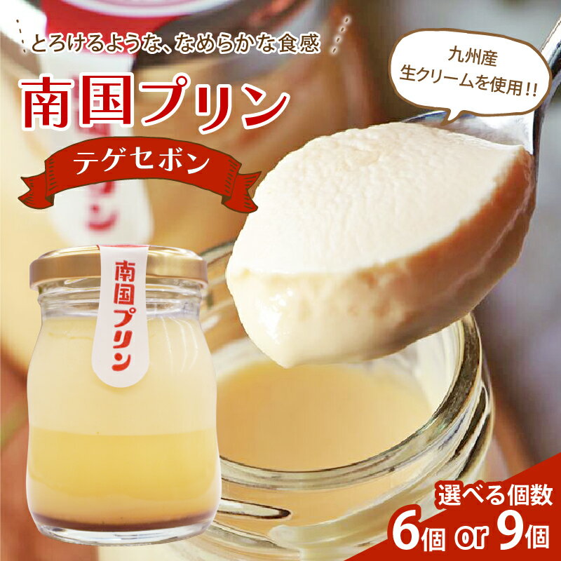 【ふるさと納税】【内容量が選べる】 南国プリン テゲセボン 6個 9個 お菓子 おかし 洋菓子 スイーツ デザート おやつ 加工品 食品 国..