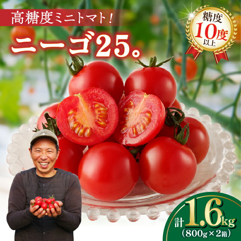 期間限定 高糖度ミニトマト ニーゴ25。計1.6kg とまと 野菜 サラダ 国産 フルーツトマト 新鮮 お土産 期間限定 産地直送 甘い 濃厚 パリッと食感 おやつ おすすめ リコピン お取り寄せ グルメ 宮崎県 都農町 送料無料