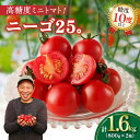 期間限定 高糖度ミニトマト ニーゴ25。計1.6kg とまと 野菜 サラダ 国産 フルーツトマト 新鮮 お土産 期間限定 産地直送 甘い 濃厚 パリッと食感 おやつ おすすめ リコピン お取り寄せ グルメ 宮崎県 都農町 送料無料