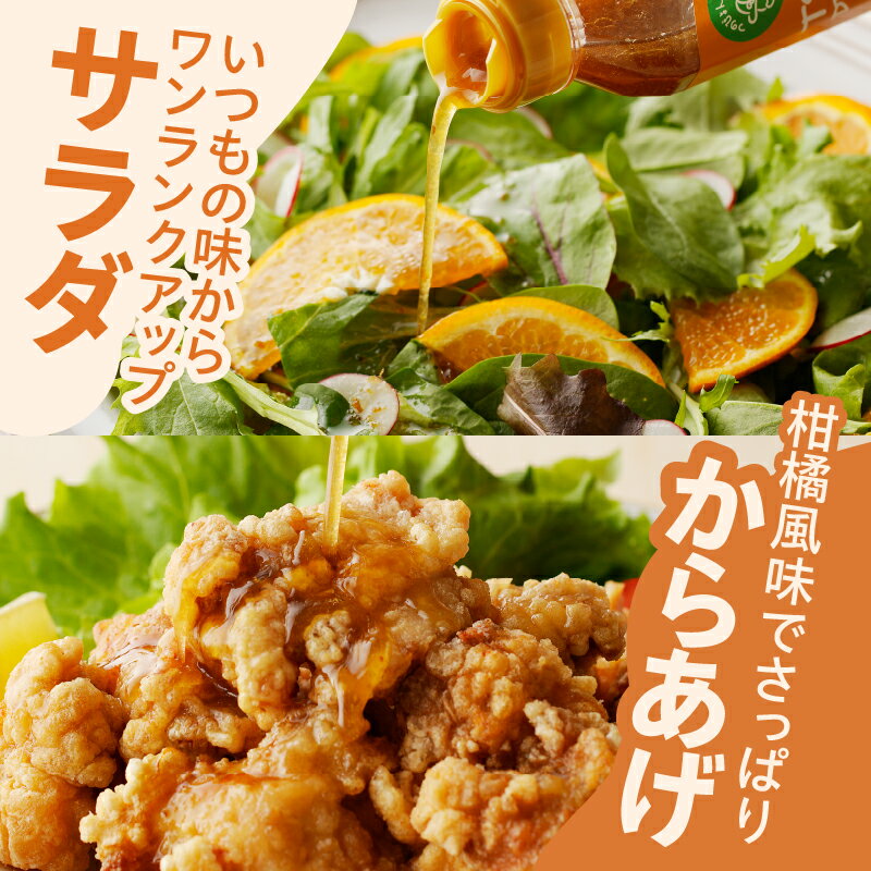 【ふるさと納税】 【内容量が選べる】 TSUNO DRESSING はるみみかん 1本 〜 3本ドレッシング サラダ 唐揚げ チキン南蛮 調味料 加工品 まろやか お取り寄せ 贈り物 果物 野菜 フルーツ 万能 おすすめ 人気 手土産 宮崎県都農町 送料無料