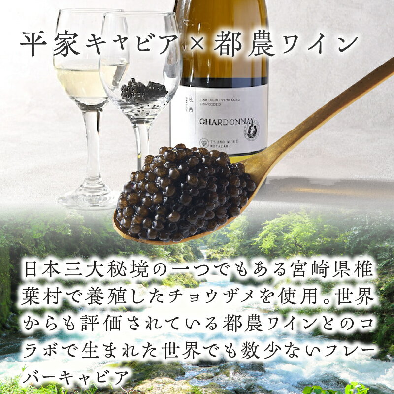 【ふるさと納税】【2週間以内発送】都農ワイン キャビア 計20g 魚卵 魚介 食品 国産 水産 加工品 世界三大珍味 高級 卵 希少 おすすめ 人気 ギフト 贈り物 贈答 プレゼント お祝い 記念日 パーティー ご褒美 イベント おもてなし おつまみ 贅沢 海産物 宮崎県 送料無料