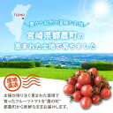 宮崎県都農町の画像2