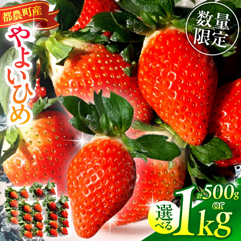 ≪先行予約≫ 都農町産 いちご 「やよいひめ」計500g 1kg 期間限定 数量限定 苺 イチゴ itigo フルーツ 果物 くだもの デザート おやつ 2026年 いちご大福 いちご煮 果物ジュース おすすめ 産地直送 ご褒美 お祝い おすそ分け 国産 食品 宮崎県 送料無料