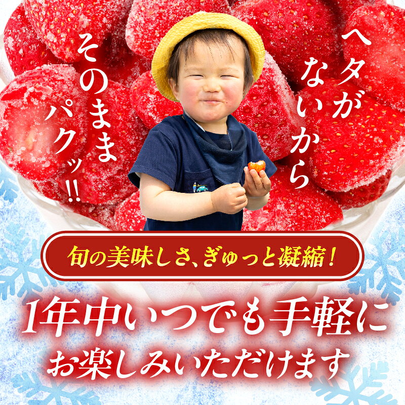 【ふるさと納税】≪訳あり≫ 都農町産 「冷凍いちご(やよいひめ）」 計1kg 国産 食品 苺 イチゴ 果物 くだもの フルーツ デザート 不揃い 小分け パック シャーベット スムージー ジュース マフィン パウンドケーキ おすすめ ご家庭用 プレゼント 冷凍 宮崎県 送料無料