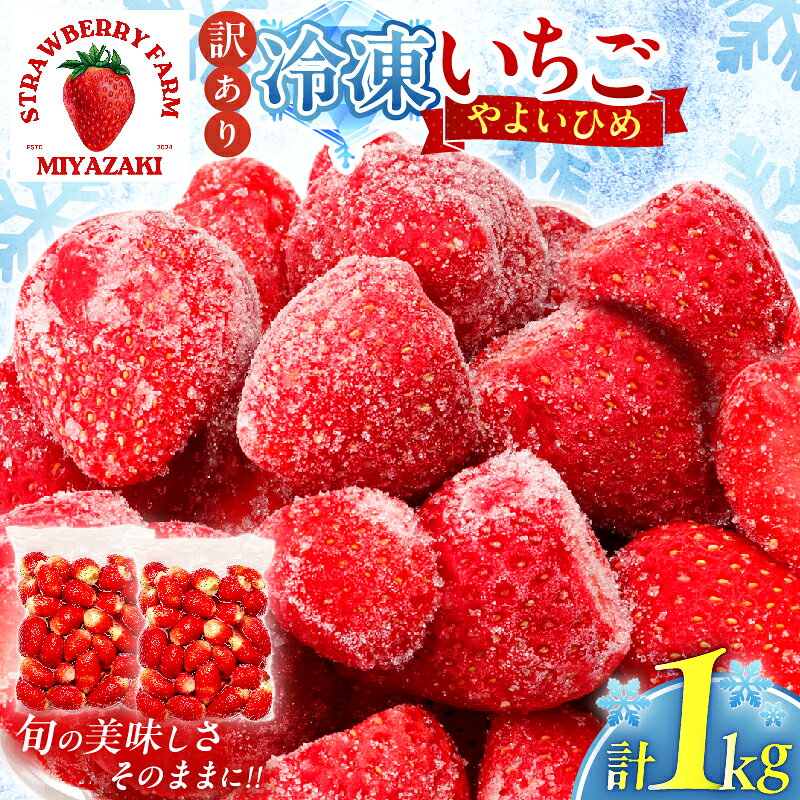 【ふるさと納税】≪訳あり≫ 都農町産 「冷凍いちご(やよいひめ）」 計1kg 国産 食品 苺 イチゴ 果物 くだもの フルーツ デザート 不揃い 小分け パック シャーベット スムージー ジュース マフィン パウンドケーキ おすすめ ご家庭用 プレゼント 冷凍 宮崎県 送料無料