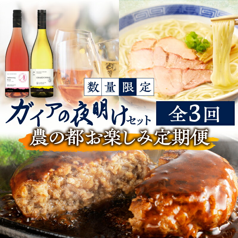 数量限定 農の都 お楽しみ定期便 ガイアの夜明けセット ハンバーグ ラーメン ワイン 牛肉 国産 食品 加工品 グルメ キャンプ BBQ バーベキュー 贅沢 和牛 真空 パック 個包装 小分け 贈り物 ギフト お取り寄せ 人気 おすすめ 宮崎県 都農町 送料無料