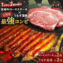 【ふるさと納税】 定期便 \1か月に2回お届け!!/ 宮崎牛 ロースステーキ × うなぎ蒲焼 ★ 最強 コンビ 鰻 魚介 肉 牛肉 焼肉 養殖うなぎ おすすめ ...