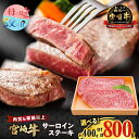 【ふるさと納税】【内容量が選べる】宮崎牛 サーロインステーキ 400g 800g 肉 牛肉 ステーキ 国産 牛 食品 ディナー グルメ キャンプ 焼肉 焼き肉 ...