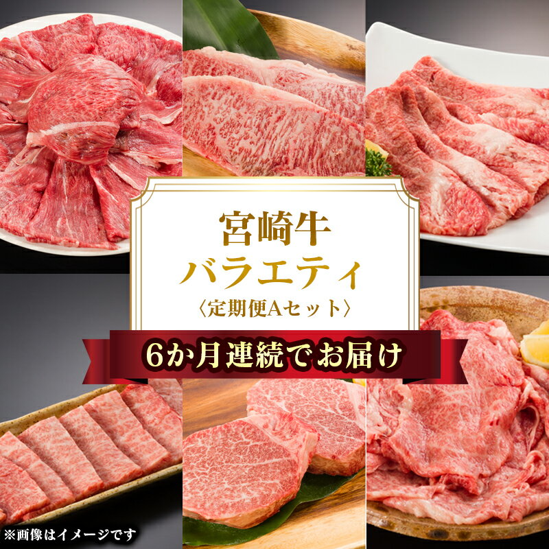 【ふるさと納税】6か月連続でお届け!宮崎牛定期便Aセット　宮崎県門川町　送料無料　肩ロース　ウデ　ロース　モモ　バラ　ヒレ　6か月　定期便　ミヤチク