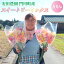【ふるさと納税】AL-1 門川町産スイートピー ミックス100本 花 フラワー ギフト 贈り物 お祝い 宮崎県門川町 送料無料