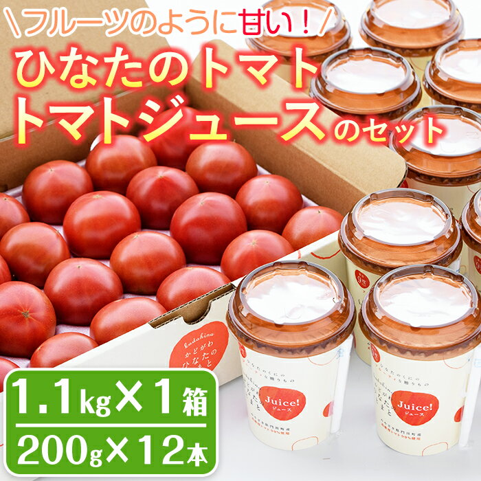 期間限定!ひなたのとまと(計1.1kg)とトマトジュース(200g×12本)セットトマト フルーツトマト 糖度 9度 以上 野菜 旬野菜 冷蔵 国産 宮崎県産[A-6][新門トマト農園]