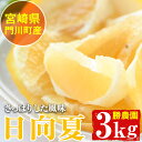 【ふるさと納税】日向夏(約3kg)柑橘 果物 数量限定 期間