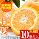 【ふるさと納税】宮崎県門川町産甘夏(10個以上)柑橘 果物 数量限定 期間限定 国産 フルーツ 常温 保存 遠見半島【AE-21】【勝農園】 その1