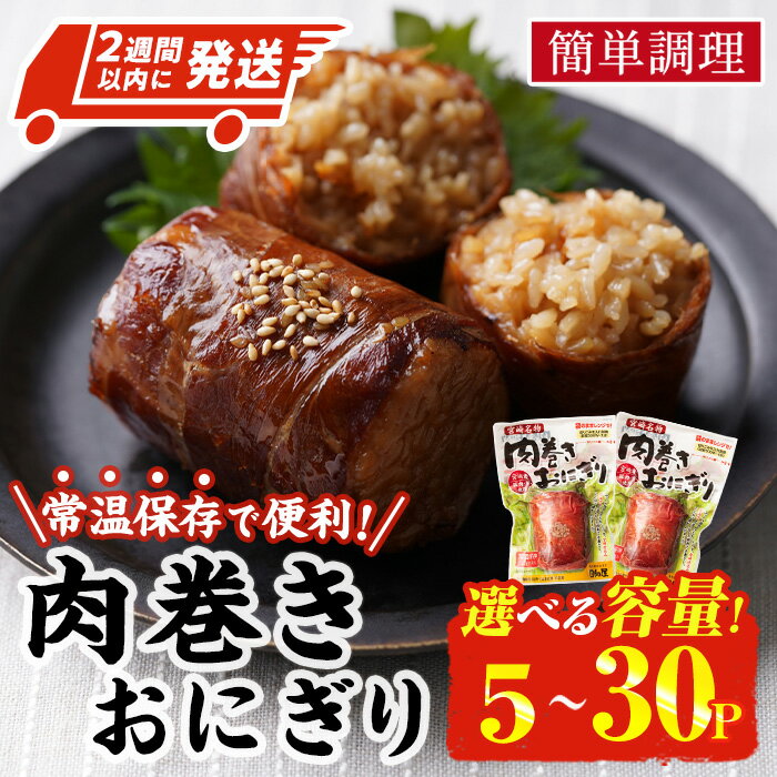 【ふるさと納税】＜2週間以内発送