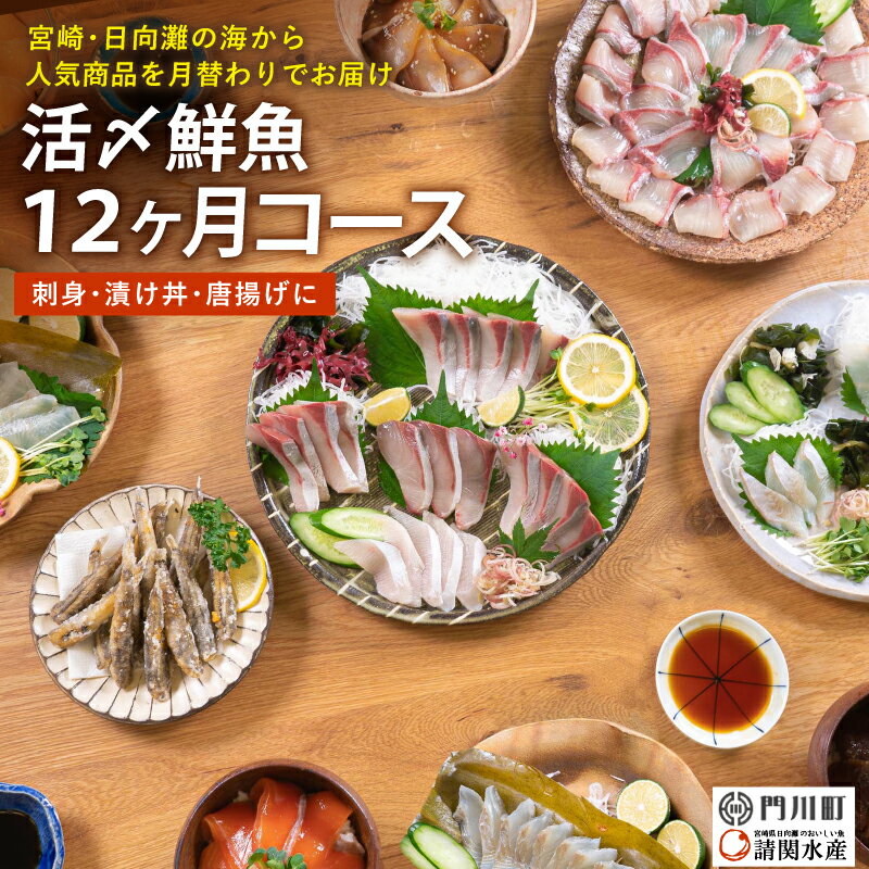 43位! 口コミ数「1件」評価「5」【北海道・離島配送不可】＜定期便・全12回(連続)＞旬の鮮魚(12ヶ月コース)お刺身 お刺し身 魚介 海鮮 漬け丼 ブリ ぶり ヒラメ 真鯛･･･ 