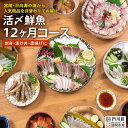 15位! 口コミ数「1件」評価「5」【北海道・離島配送不可】＜定期便・全12回(連続)＞旬の鮮魚(12ヶ月コース)お刺身 お刺し身 魚介 海鮮 漬け丼 ブリ ぶり ヒラメ 真鯛･･･ 